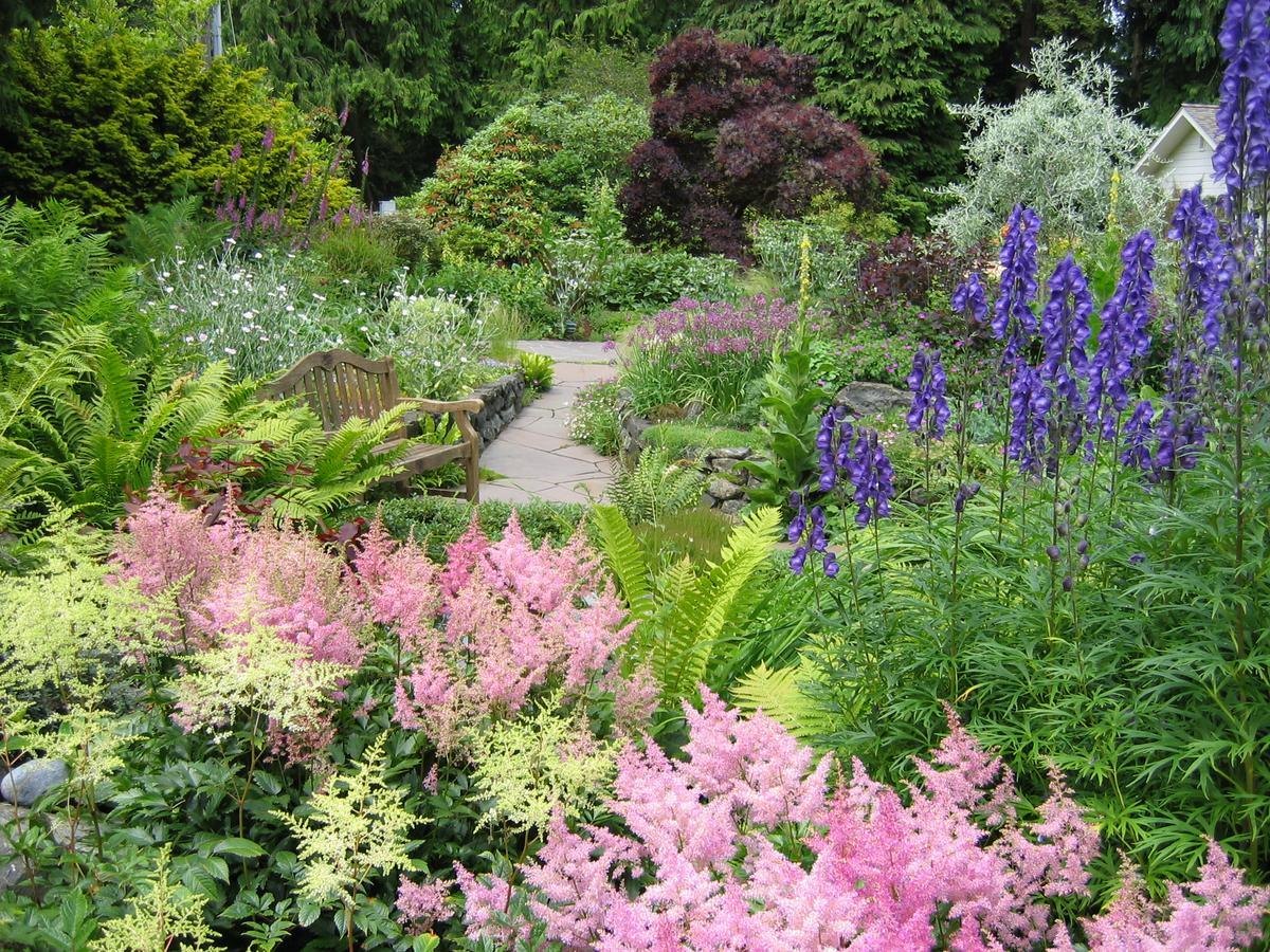 Colette'S Bed & Breakfast Port Angeles Bagian luar foto