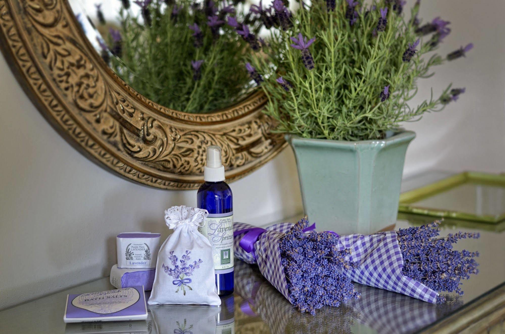 Colette'S Bed & Breakfast Port Angeles Bagian luar foto